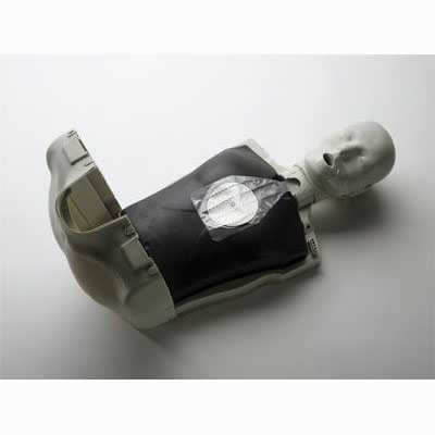 CPR100 簡易型半身心肺復(fù)蘇模擬人 CPR100 簡易型半身心肺復(fù)蘇模擬人