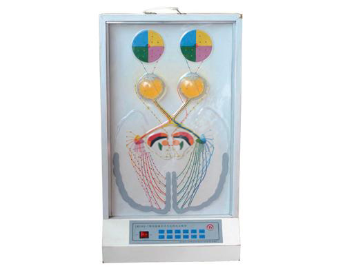 視覺傳導(dǎo)瞳孔對光反射電動模型 視覺傳導(dǎo)瞳孔對光反射電動模型