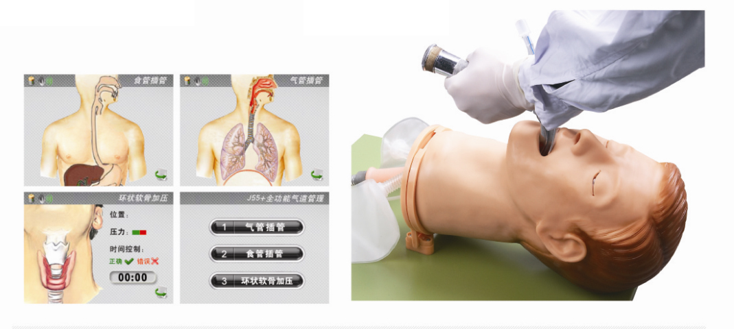 全功能氣道管理模型 全功能氣道管理模型