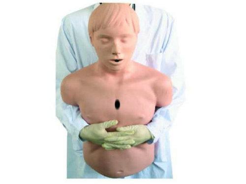 高級成人氣道梗塞及CPR模型 GD/CPR145 高級成人氣道梗塞及CPR模型 GD/CPR145